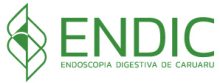 logotipo endic endoscopia digestiva de caruaru verde