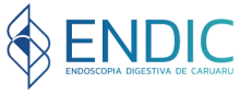 logotipo endic endoscopia digestiva de caruaru