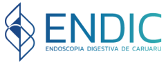 logotipo endic endoscopia digestiva de caruaru